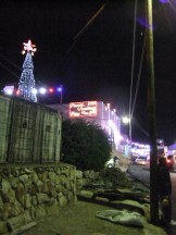 Tree and Shops