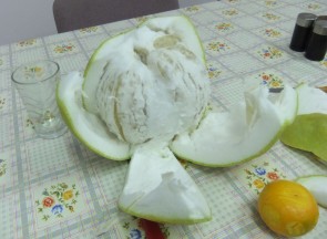 Pomelo