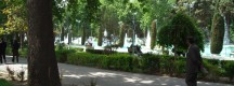 Tehran Park