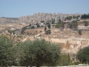Settlement near Shepherd's field
